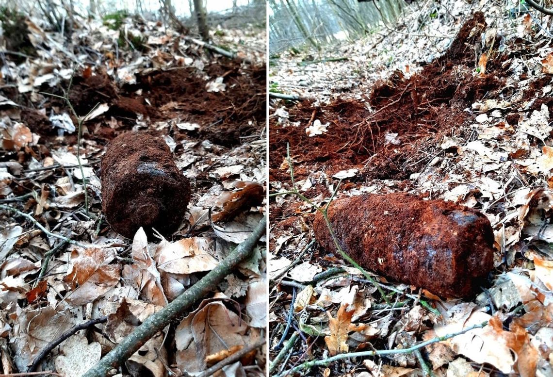 Niewypał znaleziono w oleśnickich lasach