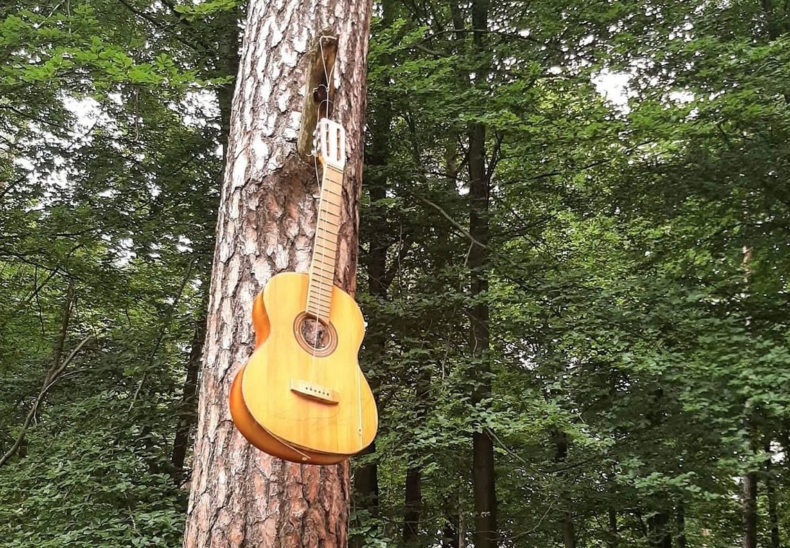 No i gra gitara... w lesie