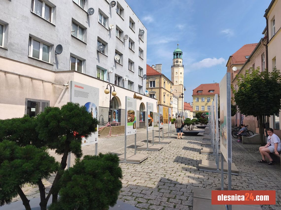 Nowa atrakcja w centrum Oleśnicy. Ta wystawa może zainspirować do wakacyjnych wycieczek Nowa atrakcja w centrum Oleśnicy. Ta wystawa może zainspirować do wakacyjnych wycieczek