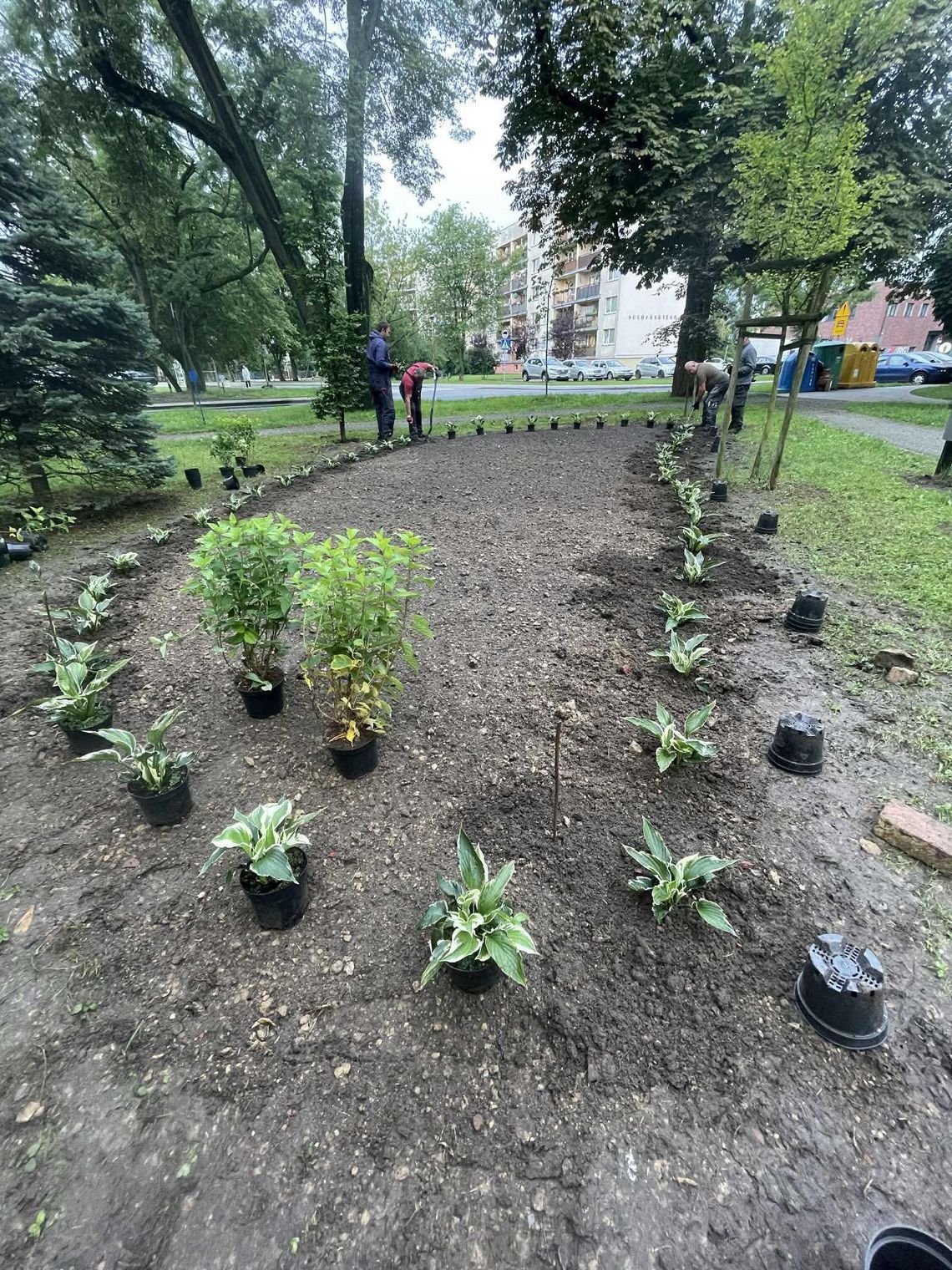 Nowa rabata w parku Kopernika