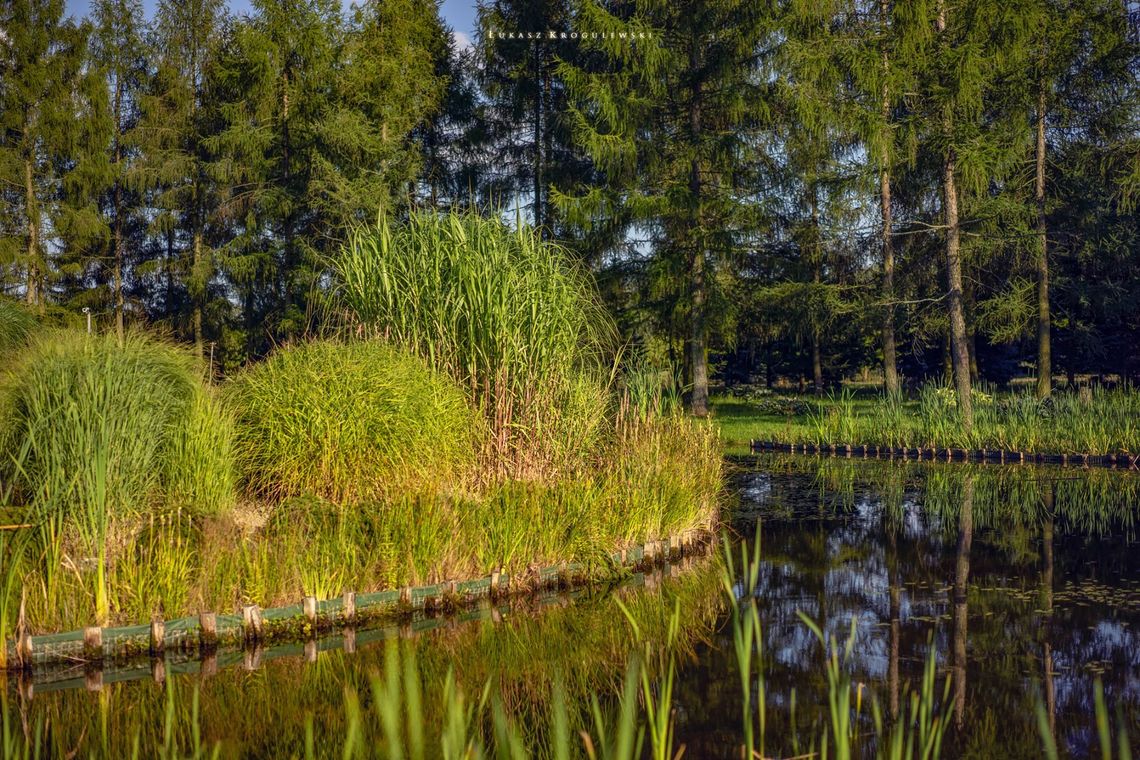 Od soboty czynne Arboretum Leśne