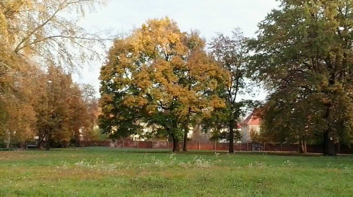Oleśnica, Spacerowa - tak dla zieleni i niskiej zabudowy 