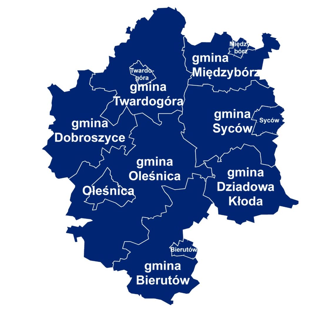 NASZ NEWS: Oni wystartują na burmistrzów i wójtów - LISTA