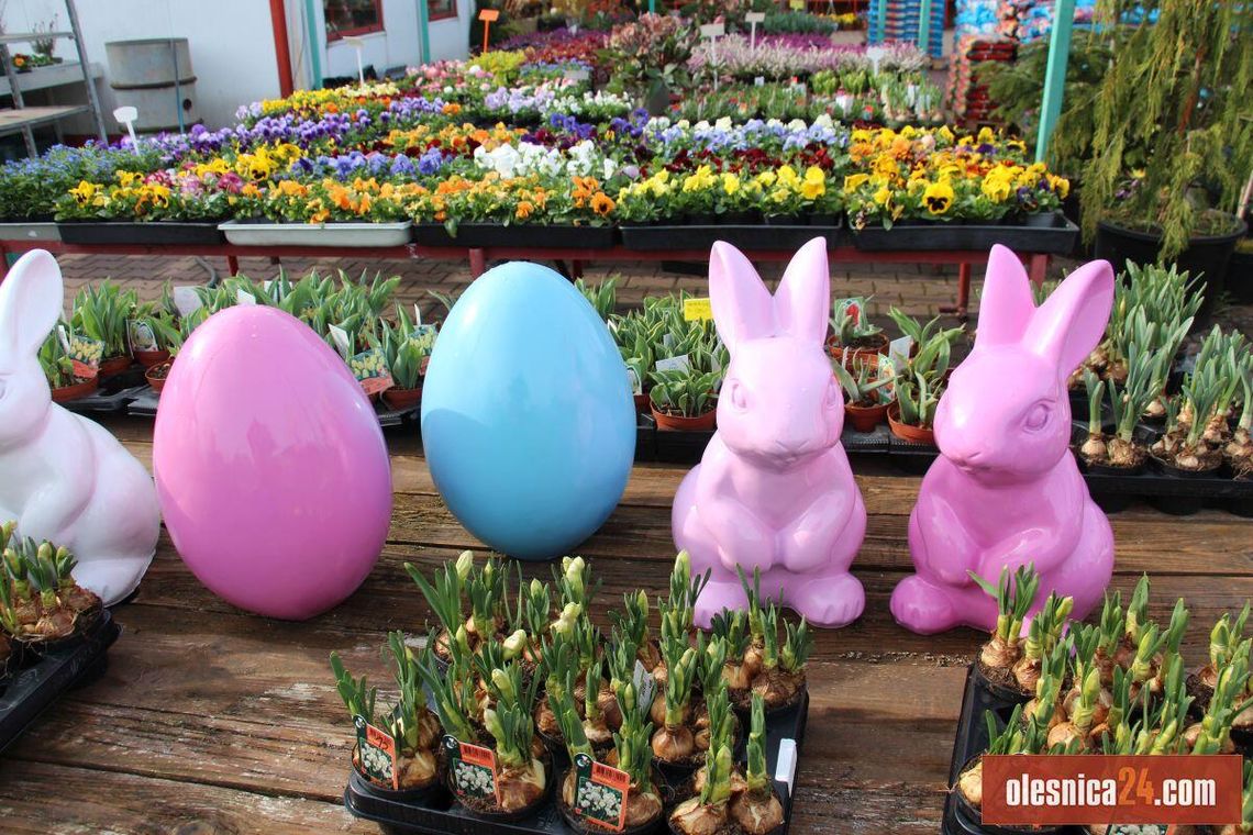 Ostatni tydzień na wielkanocne zakupy! Oleśnica w świątecznych dekoracjach