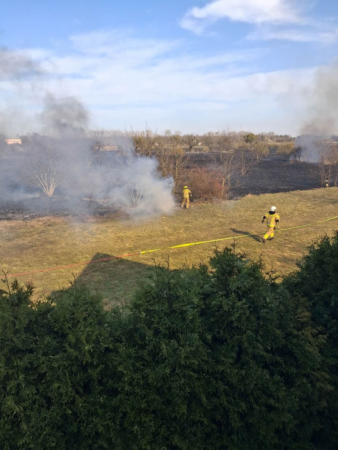 Palą się "Kwadraty" w Oleśnicy. Ogień blisko zabudowań! (WIDEO)
