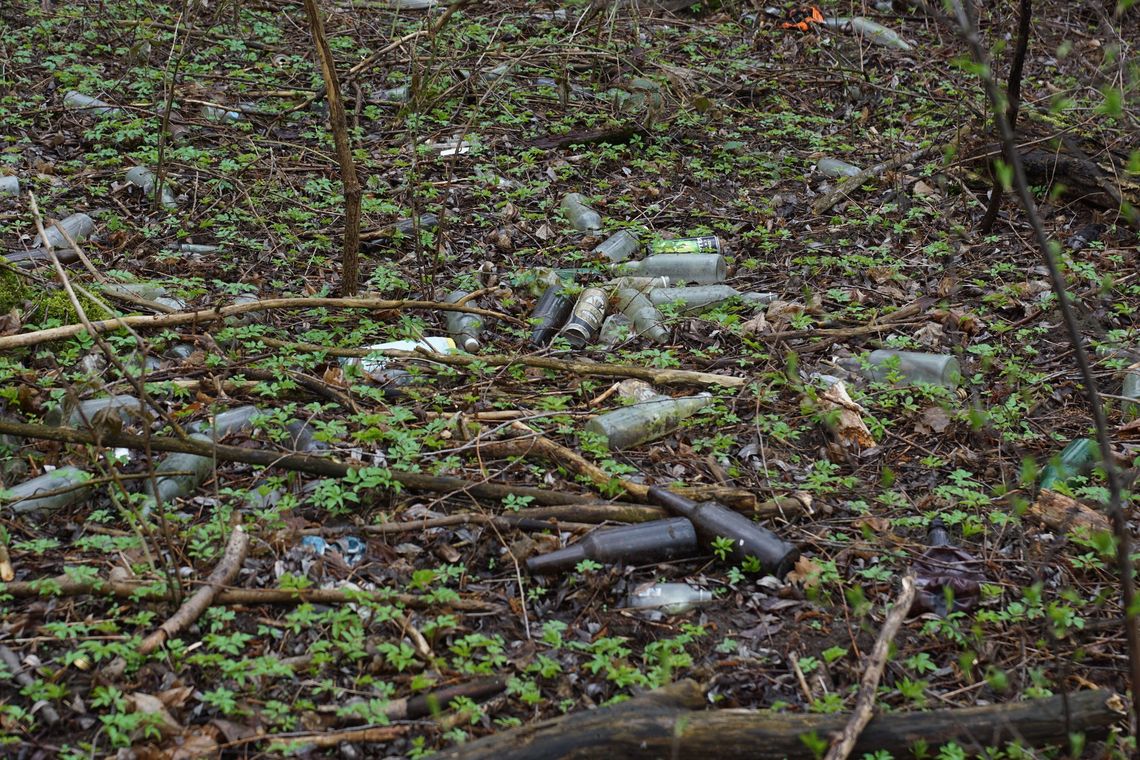 Parku nie ma, jest śmietnisko i melina