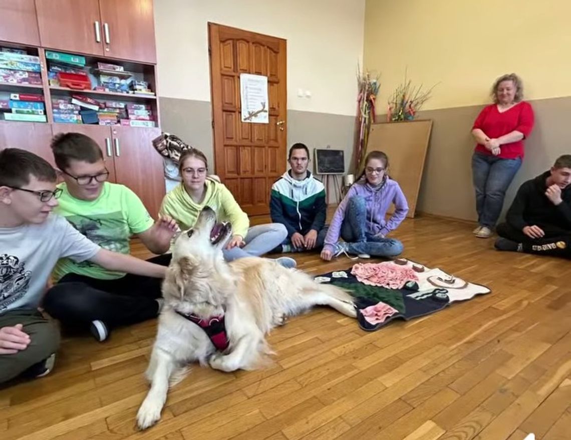 Pies w szkole robi coś niesamowitego... (ROLKA) Pies w szkole robi coś niesamowitego... (ROLKA)