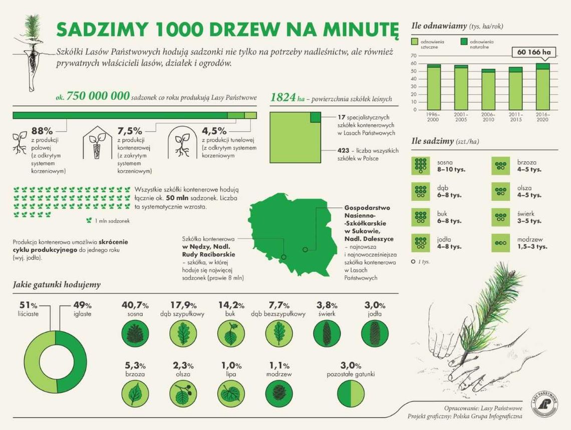 Posadź drzewo z prezydentem Dudą i leśnikami