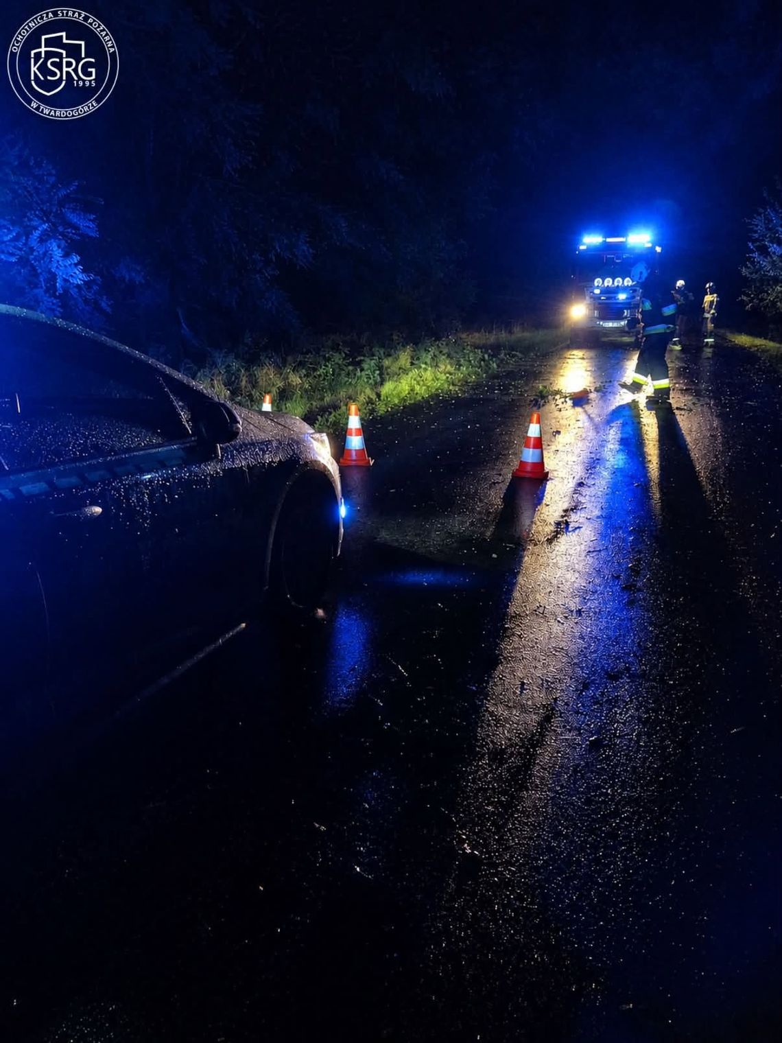 Powalone drzewo w Grabownie Małym. Nocna interwencja strażaków