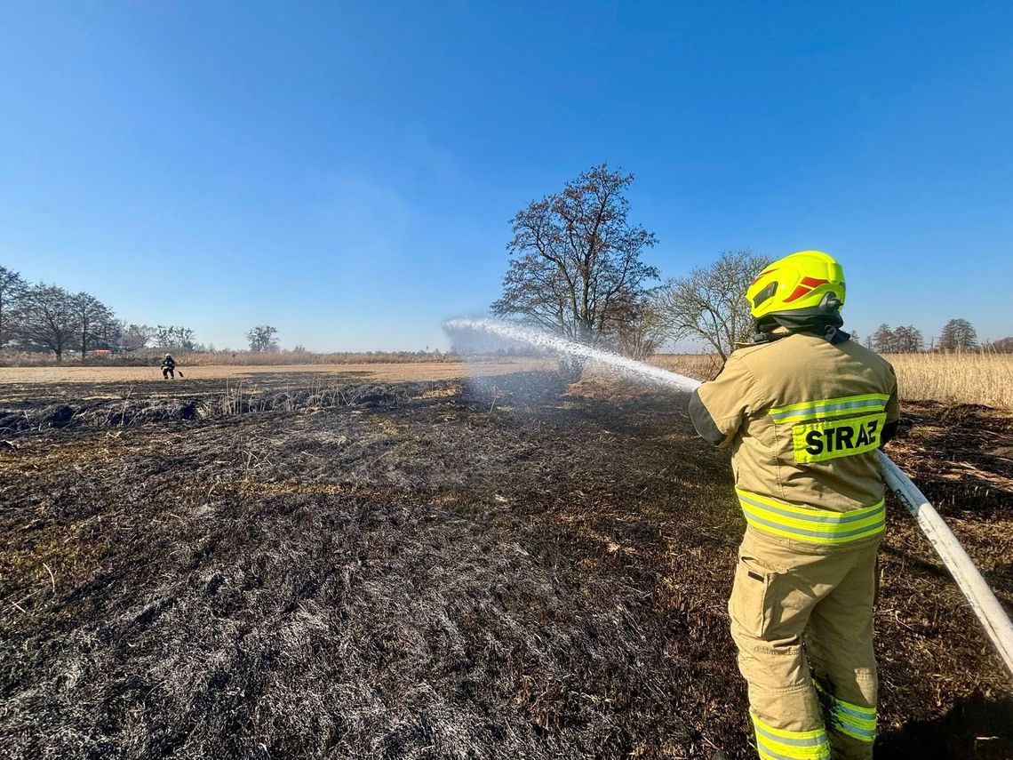 Pożar nieużytków w Oleśnicy – przy Turkusowej paliły się trawa i śmieci