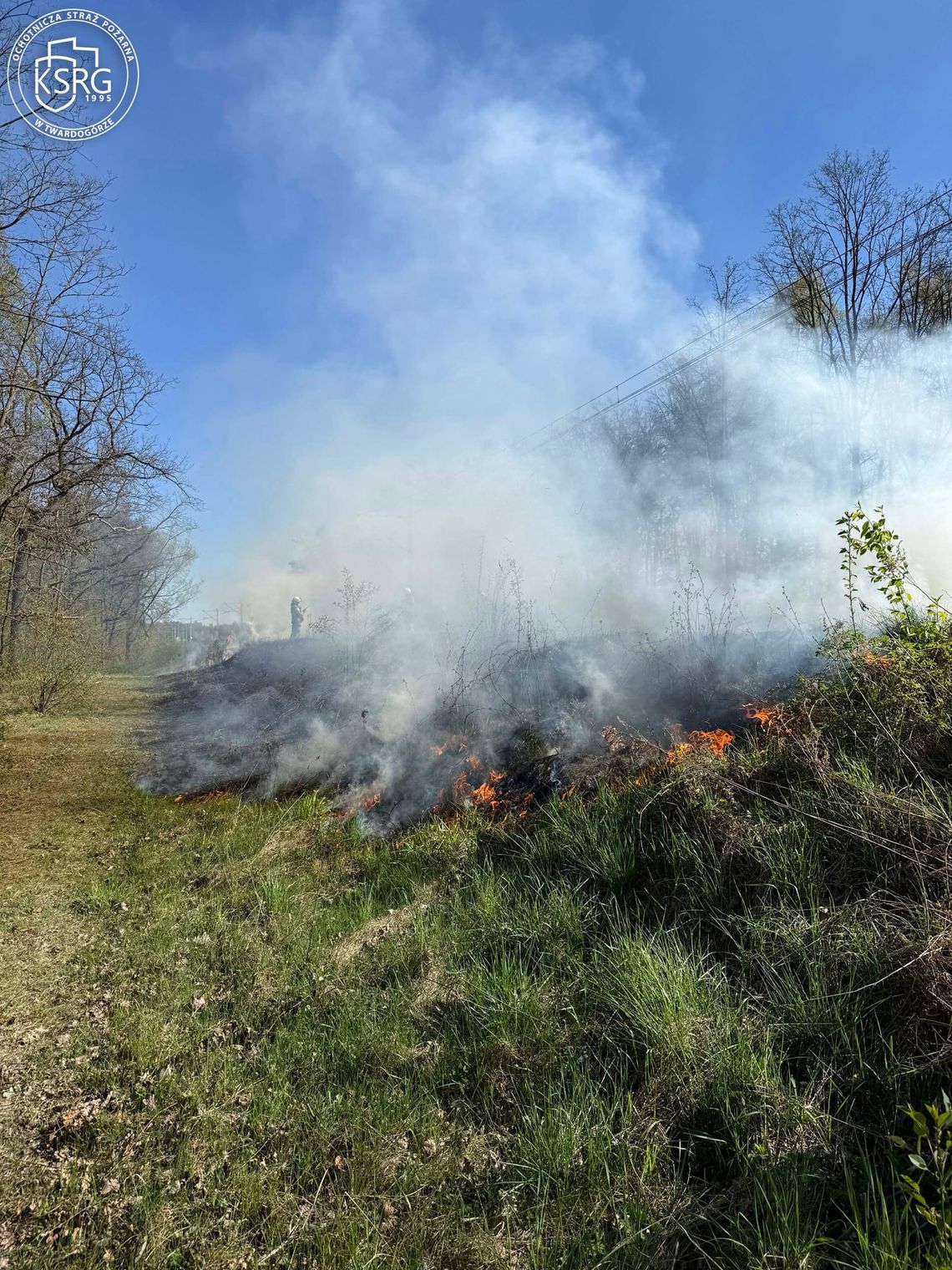 Pożar przy torach. W akcji kilka jednostek straży pożarnej