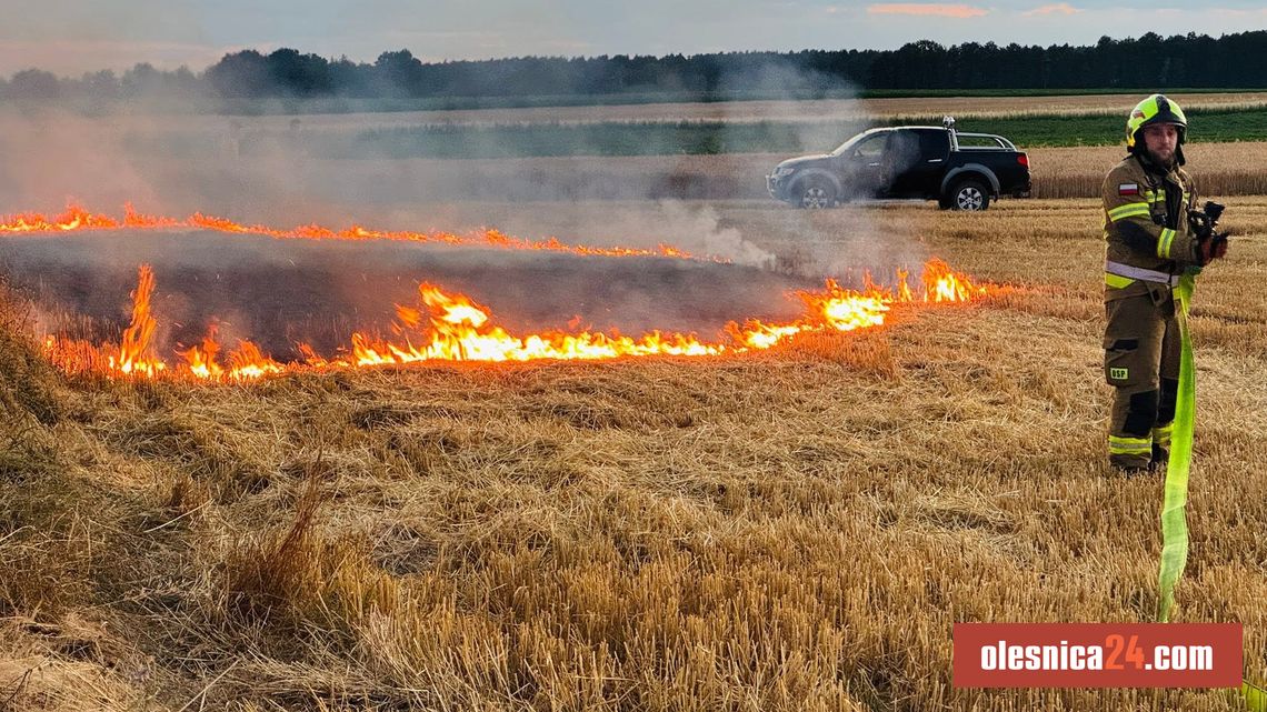 Pożar ścierniska w Sokołowicach Pożar ścierniska w Sokołowicach