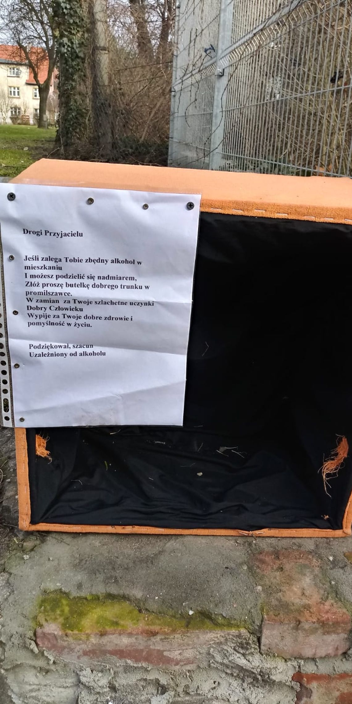 Promilszafka w Oleśnicy