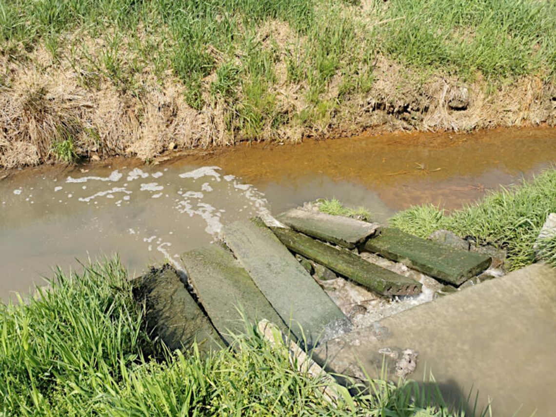 Przeciążenie oczyszczalni przyczyną zanieczyszczenia rzeki Dobra w Dobroszycach 