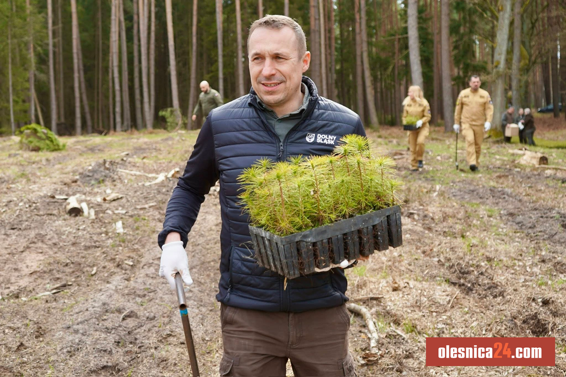 Pszczoły pod ochroną regionu. Milion złotych dla pszczelarzy