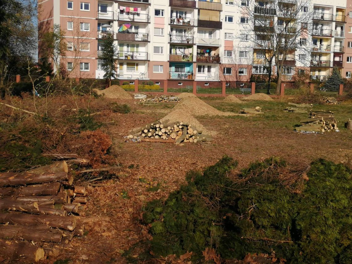Radny alarmuje: "Ekspansja betonozy na Serbinowie!"
