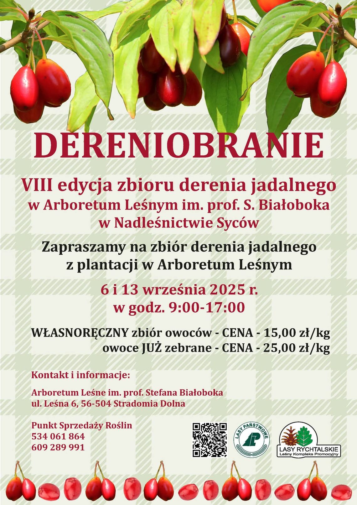 Ruszaj na dereniobranie
