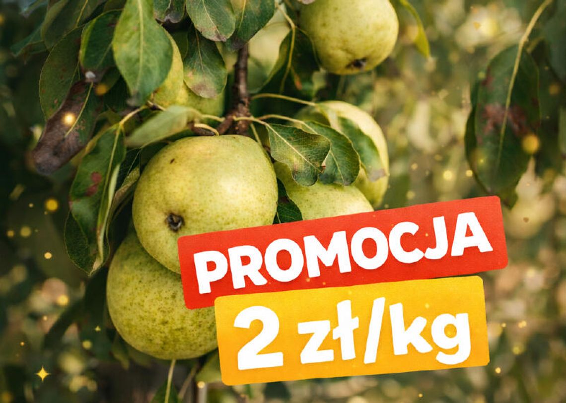Świeże jabłka i gruszki prosto z sadu – tylko 2 zł/kg! Promocja w Sadzie Poraj!