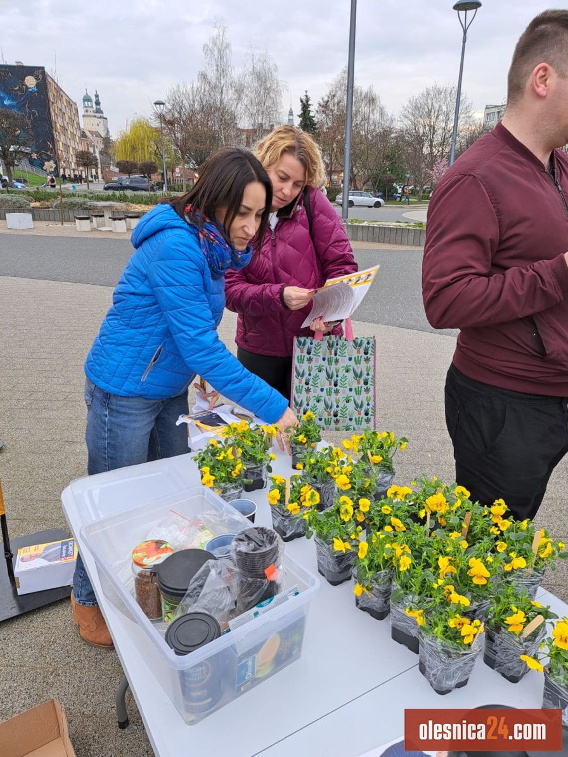 Trzecia Droga rozdaje sadzonki bratków