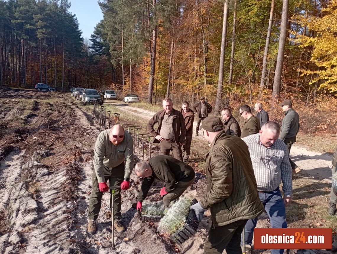 Samorządowcy sadzili las pod Twardogórą