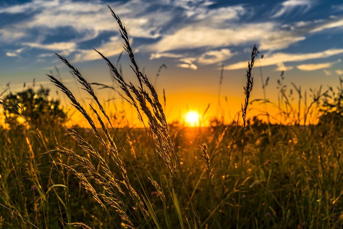 Sanepid informuje rolników z powiatu oleśnickiego
