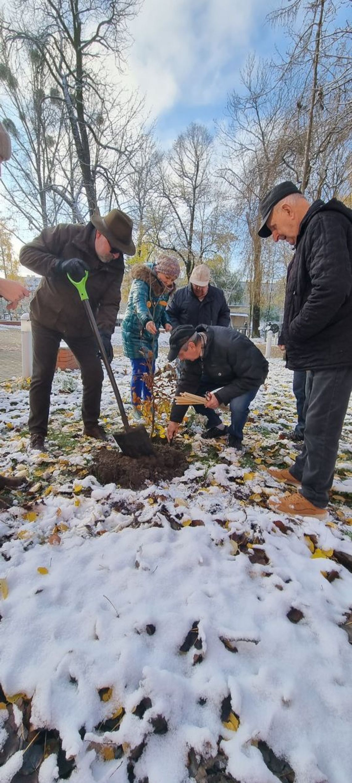 Seniorzy z leśnikami posadzili drzewa