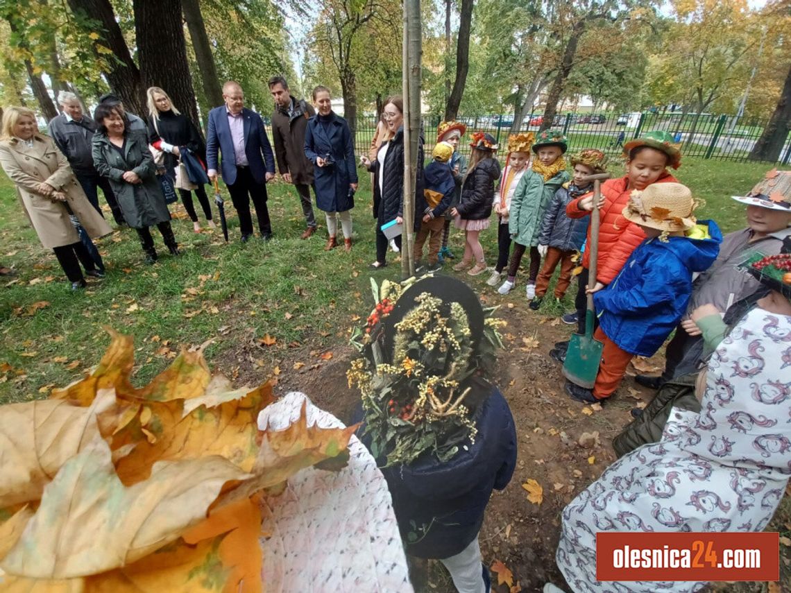 Seniorzy sadzili drzewa z pierwszoklasistami ze Szkoły Podstawowej nr 1