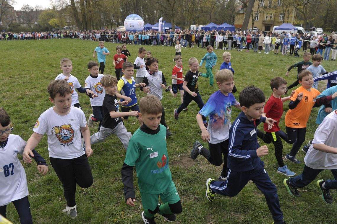 Setki młodych biegaczy opanują Oleśnicę Setki młodych biegaczy opanują Oleśnicę