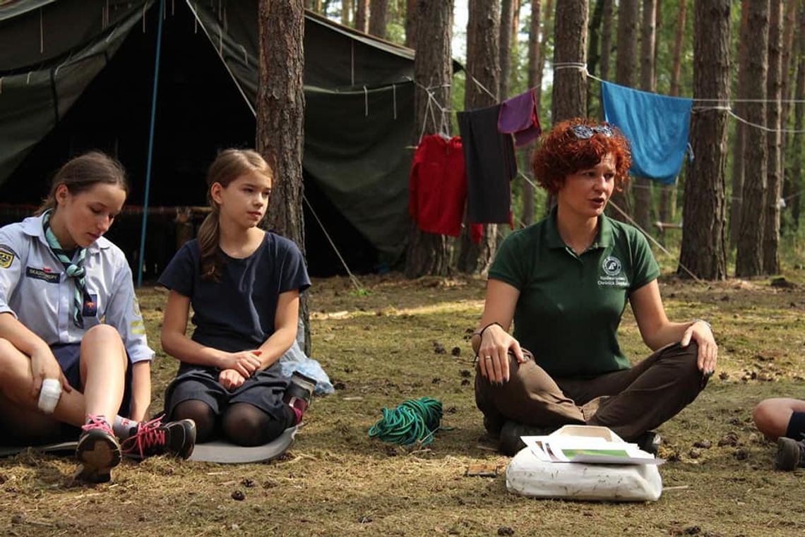 Skusili się na kleszcze w Nadleśnictwie Oleśnica Śląska