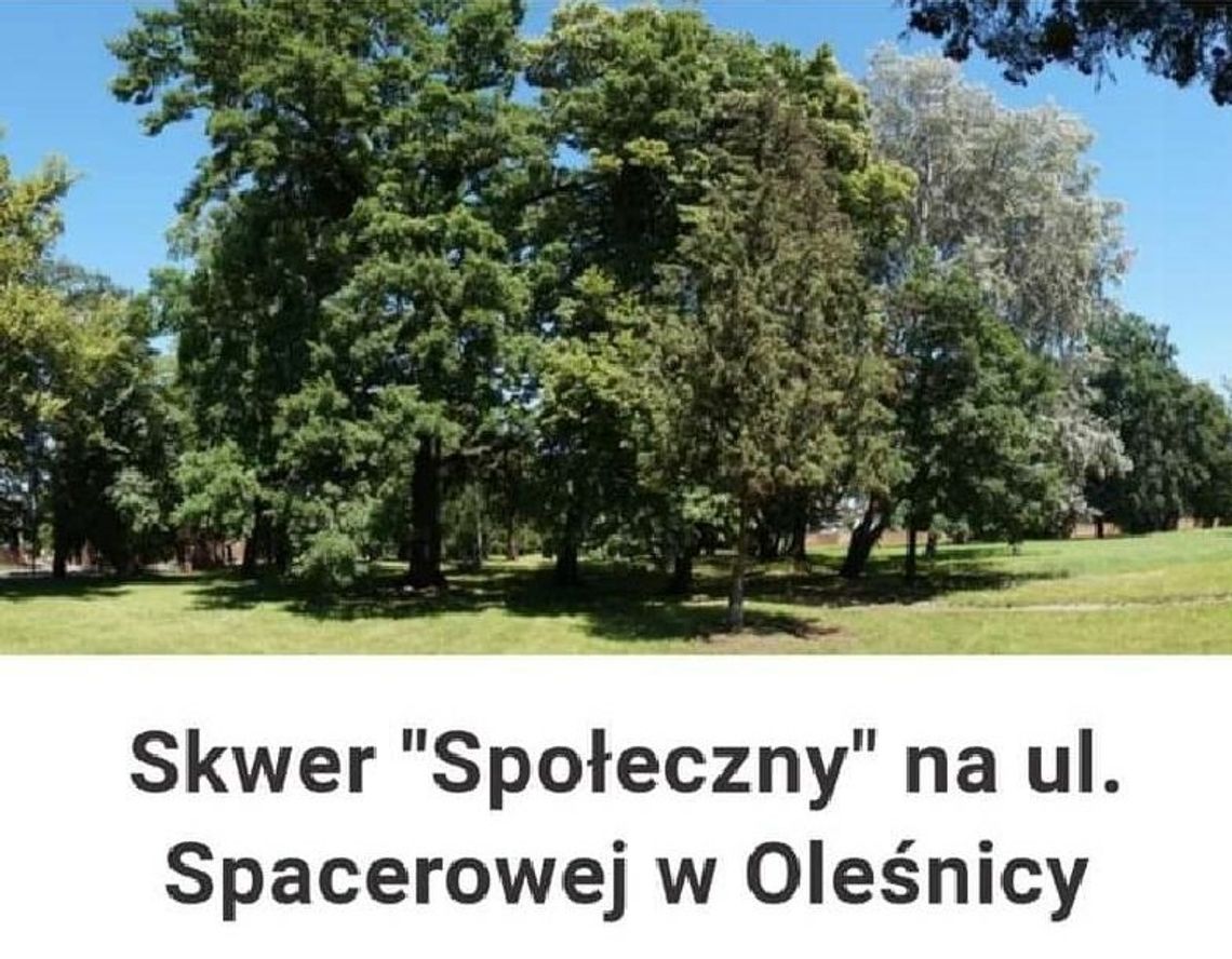 Skwer Społeczny w Oleśnicy nie powstanie
