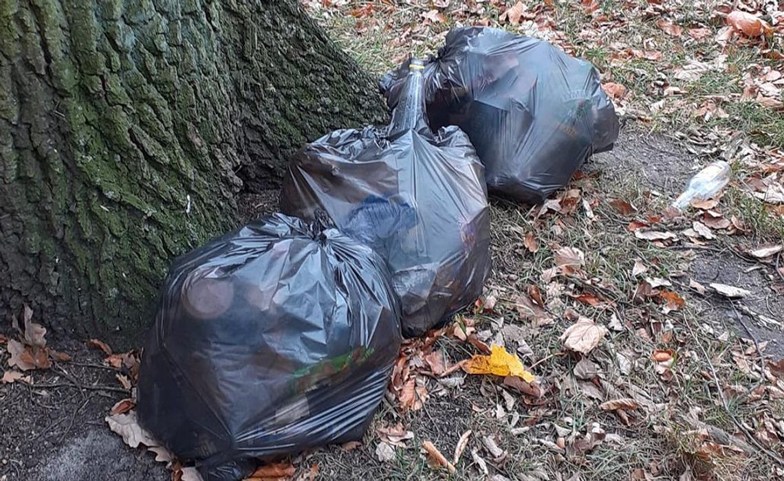 Śmieci w Parku Książąt Oleśnickich