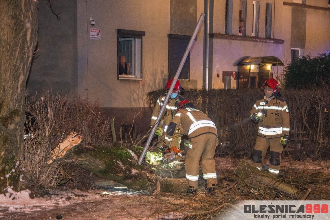Spadający konar przygniótł młodego mężczyznę w Oleśnicy
