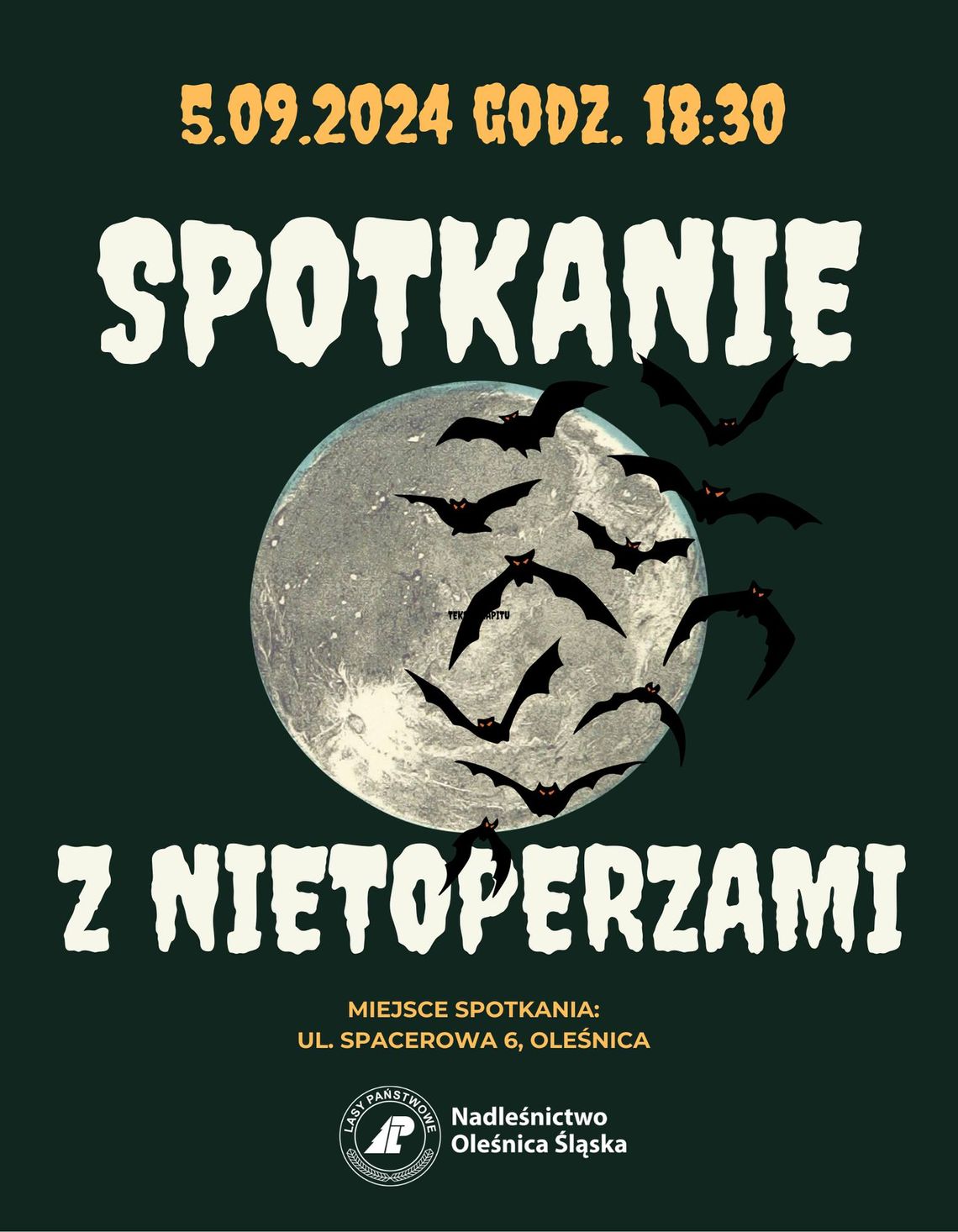 Spotkanie z nietoperzami dla dzieci i dorosłych