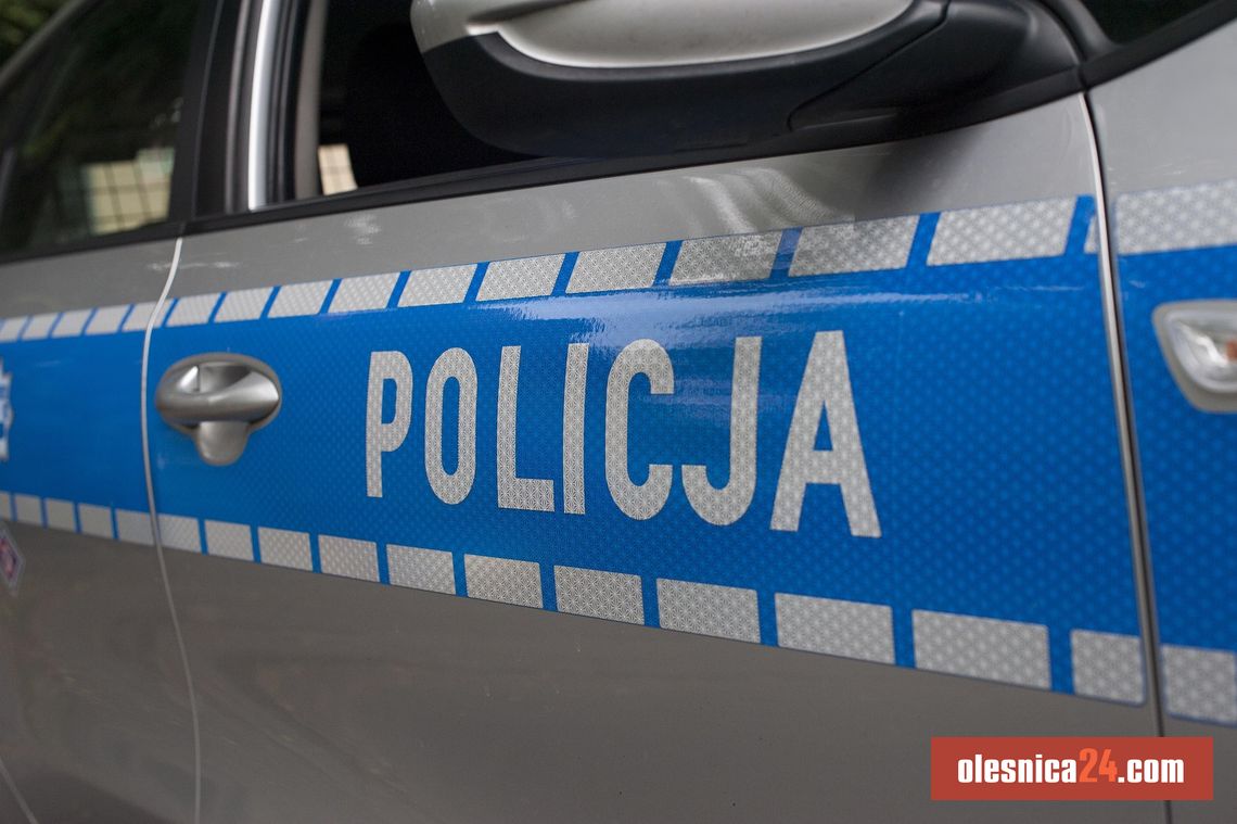 Strzały na S8 pod Sycowem. Policyjny pościg zakończył się użyciem broni