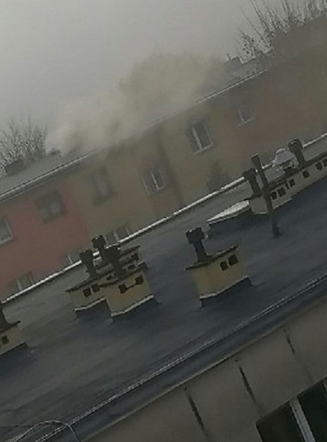 Sycowianin: Nie ma czym oddychać! Sycowianin: Nie ma czym oddychać!