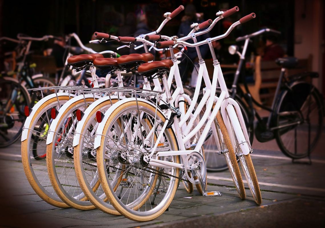 System rowerów miejskich w Oleśnicy