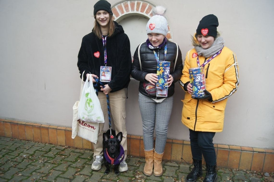 Tak gra WOŚP w Oleśnicy - zebrano już 155 tysięcy złotych  [AKTUALIZACJA]
