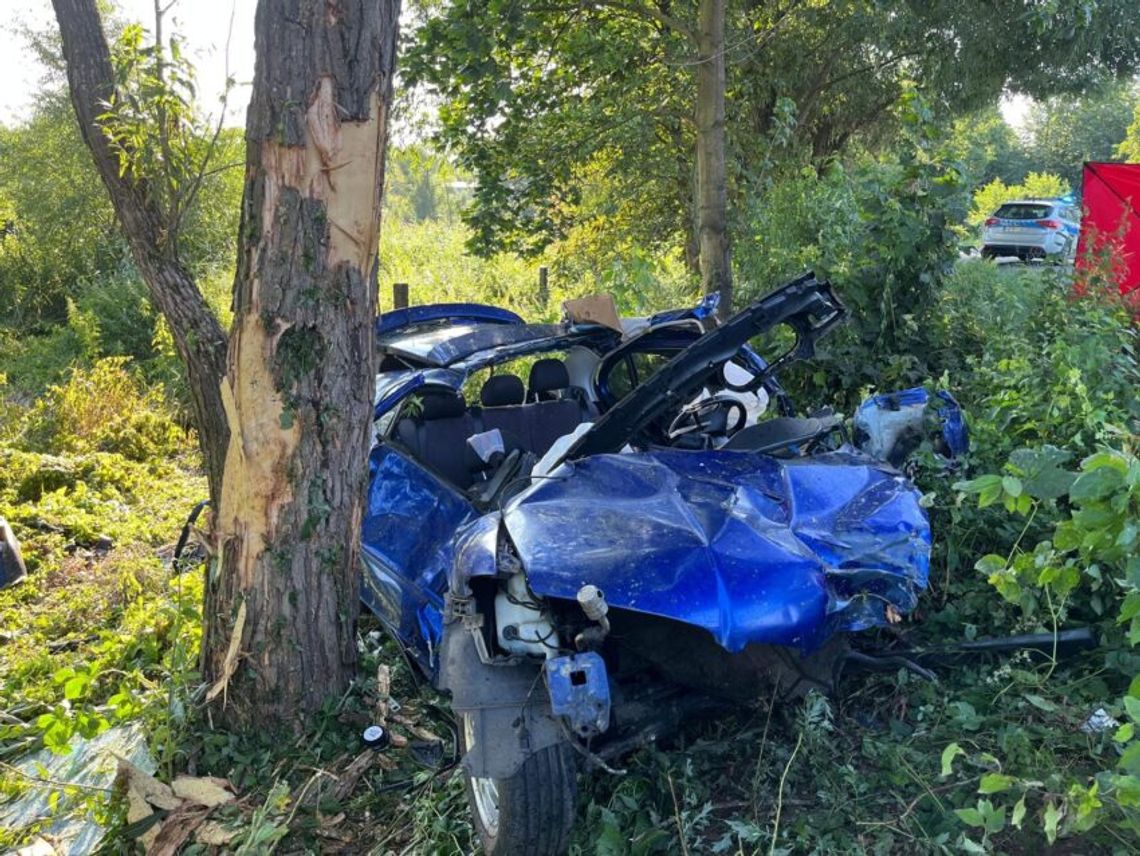 Tragedia na drodze