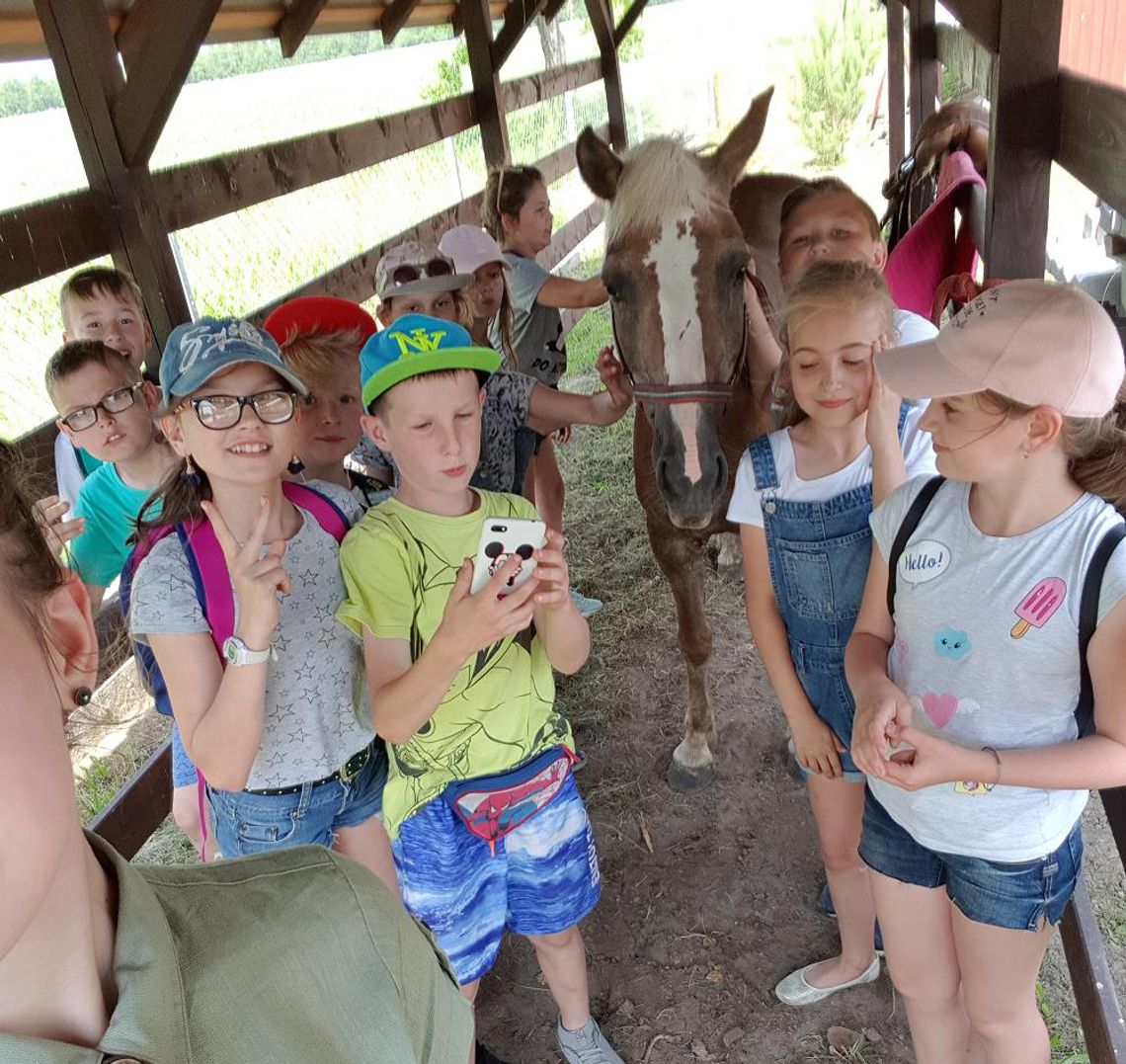 Uczniowie z SP w Ligocie Polskiej uratowali konia