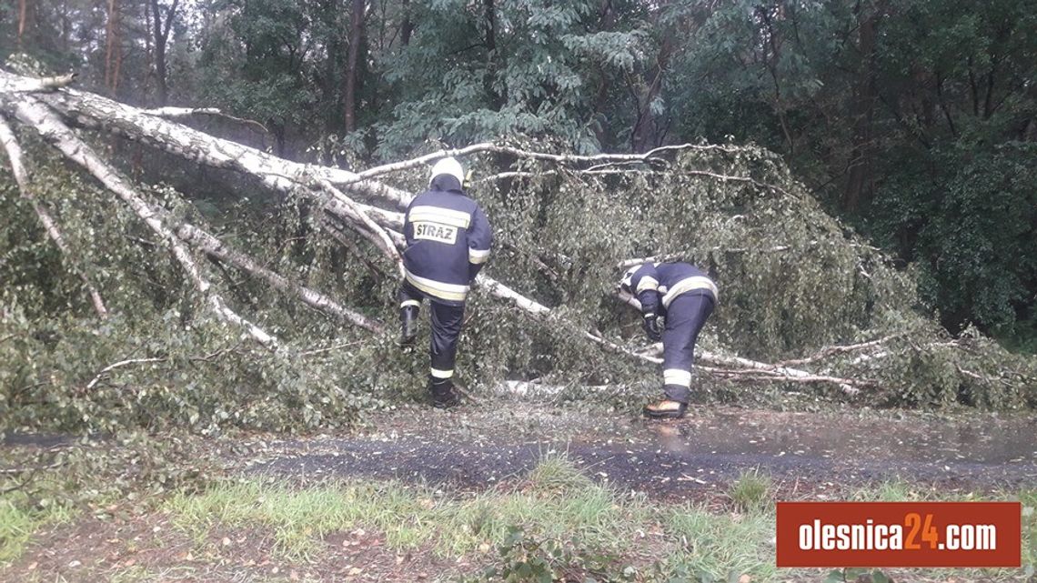 Ulewa i wichura przeszły przez Bierutów