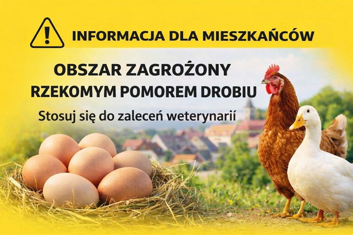 Uwaga, mieszkańcy Domasławic – tablica „Obszar zagrożony rzekomy pomór drobiu”. Co to oznacza?