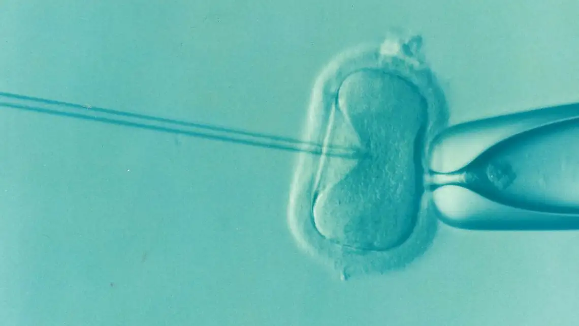 W Oleśnicy 7 000 zł dofinansowania do in vitro