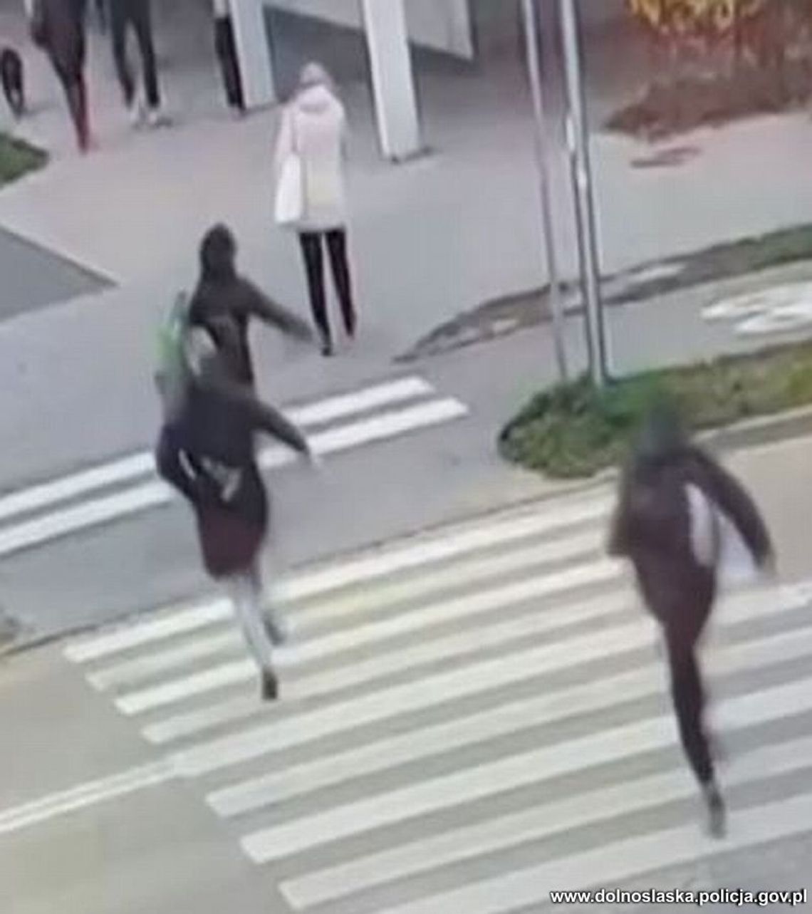 W Oleśnicy policjantka i mieszkańcy gonili złodzieja i złodziejkę 