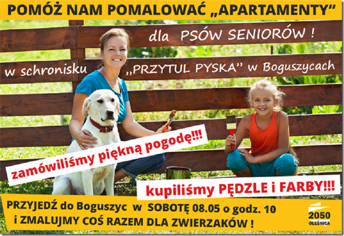 Więc chodź, pomaluj... przytulisko