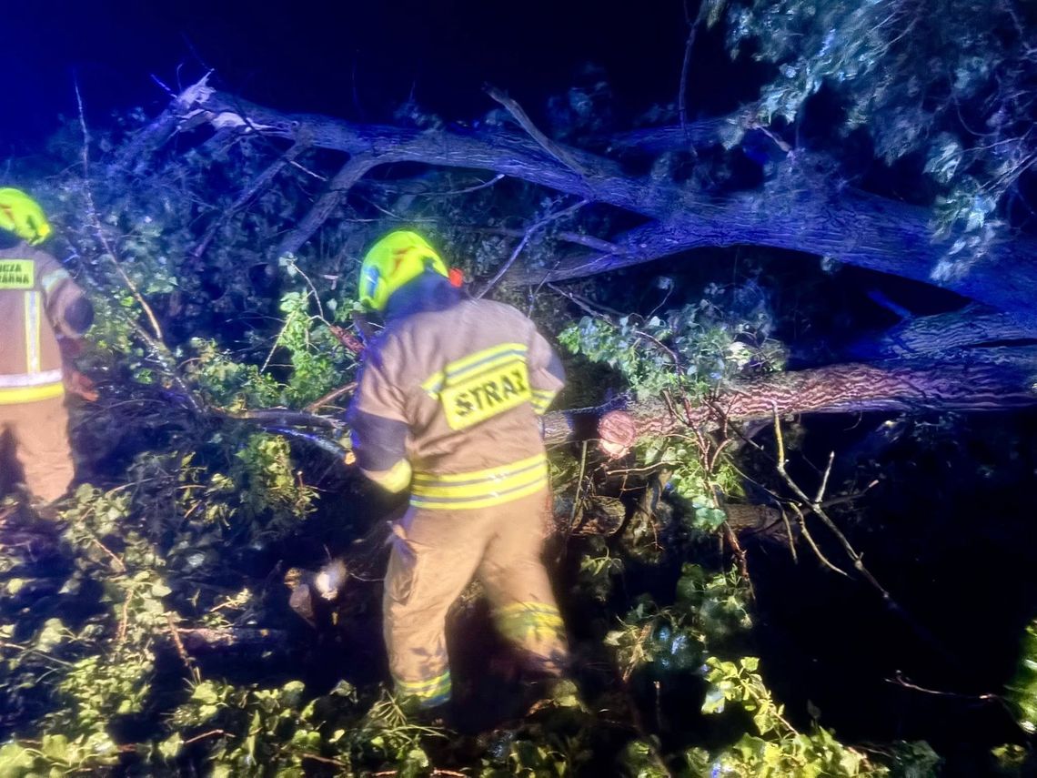 Wieczorna interwencja strażaków. Drzewo zablokowało drogę między Ligotą Wielką a Oleśnicą Wieczorna interwencja strażaków. Drzewo zablokowało drogę między Ligotą Wielką a Oleśnicą