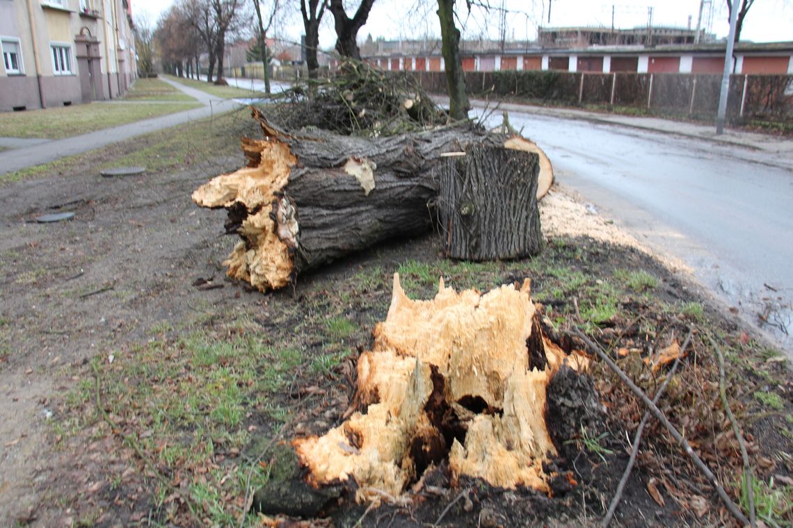 Wieje tak, że aż chce głowę urwać! [AKTUALIZACJA]