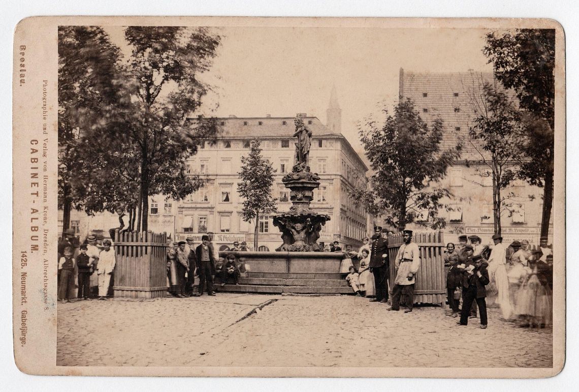 Wrocław szuka głowy Neptuna. Może jest w okolicach Sycowa?