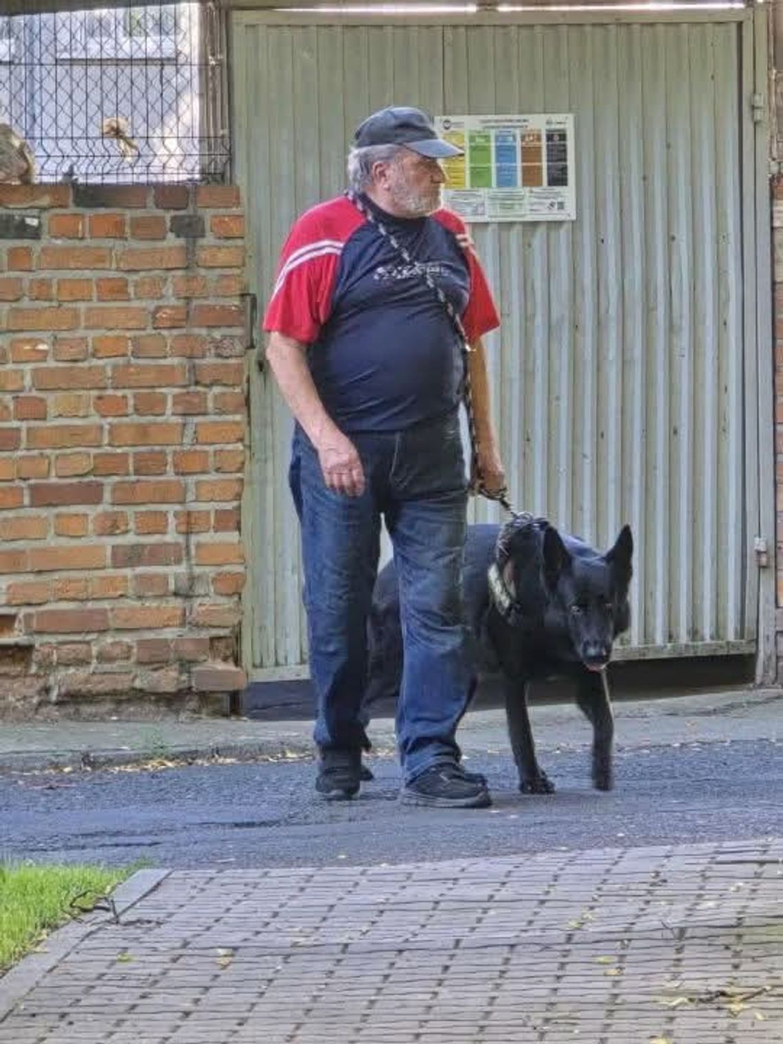 Wyszedł z psem i zaginął