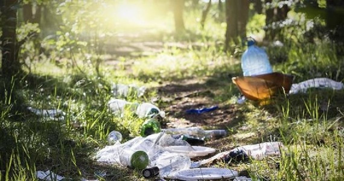 Za zaśmiecanie lasu grozi wysoki mandat