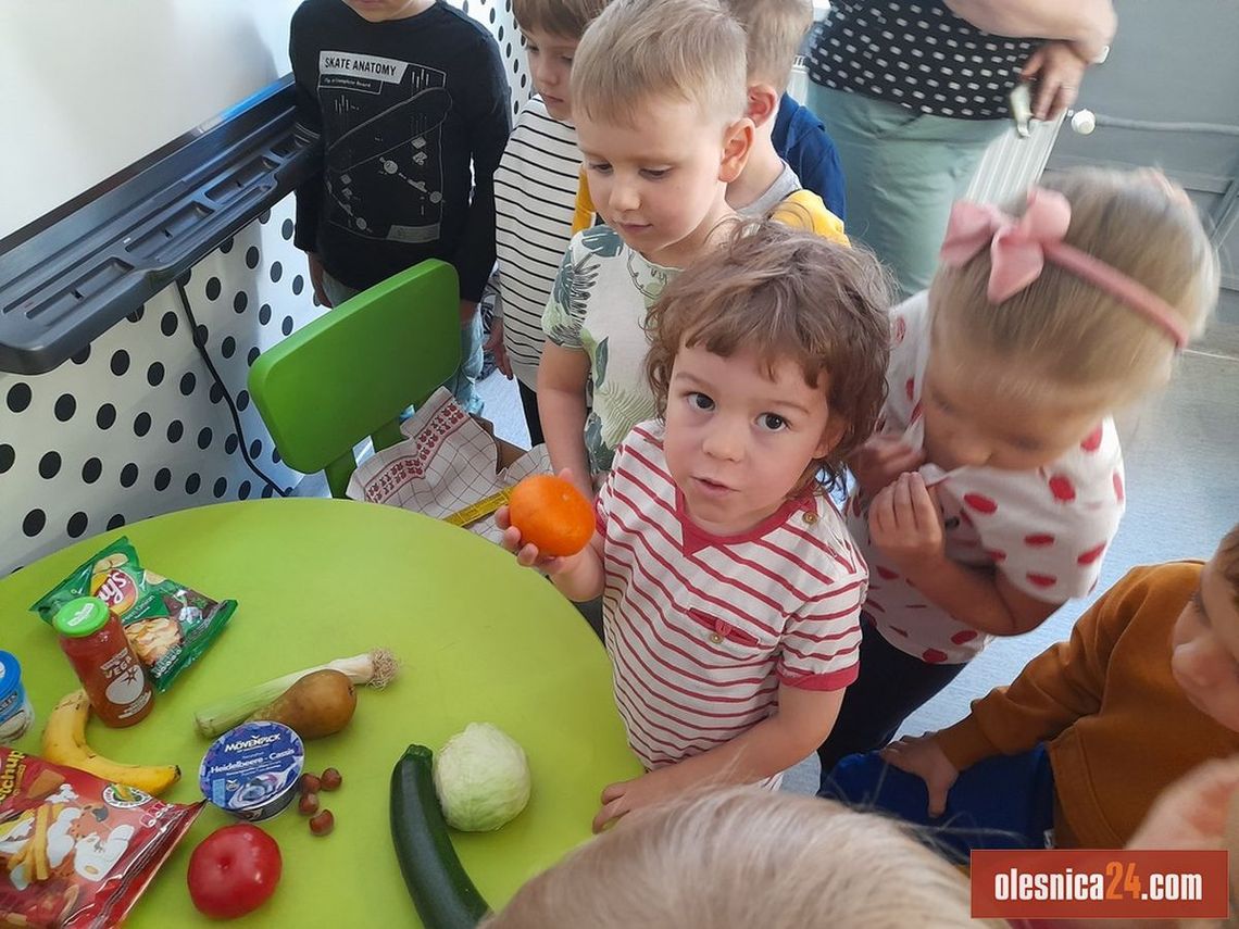 Żabki w bibliotece